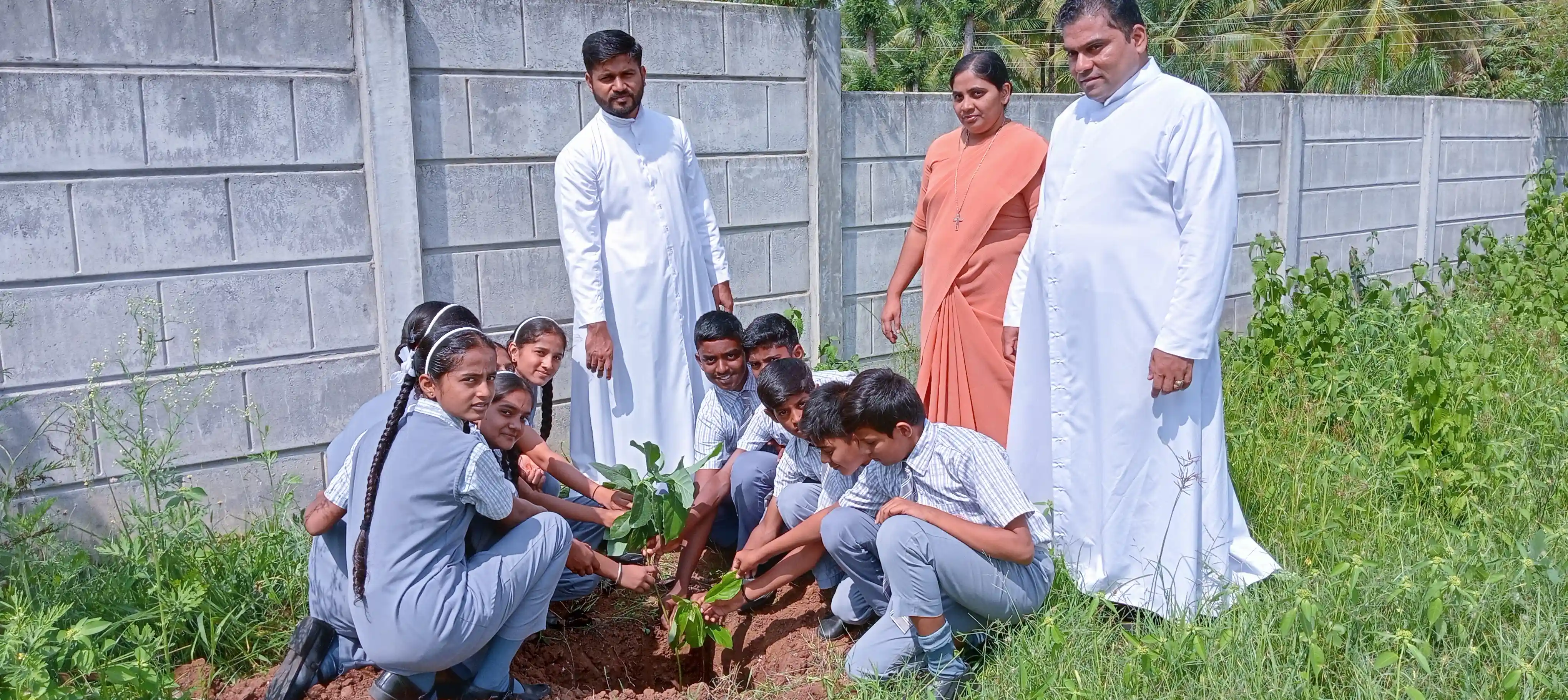 ECO friendly activities