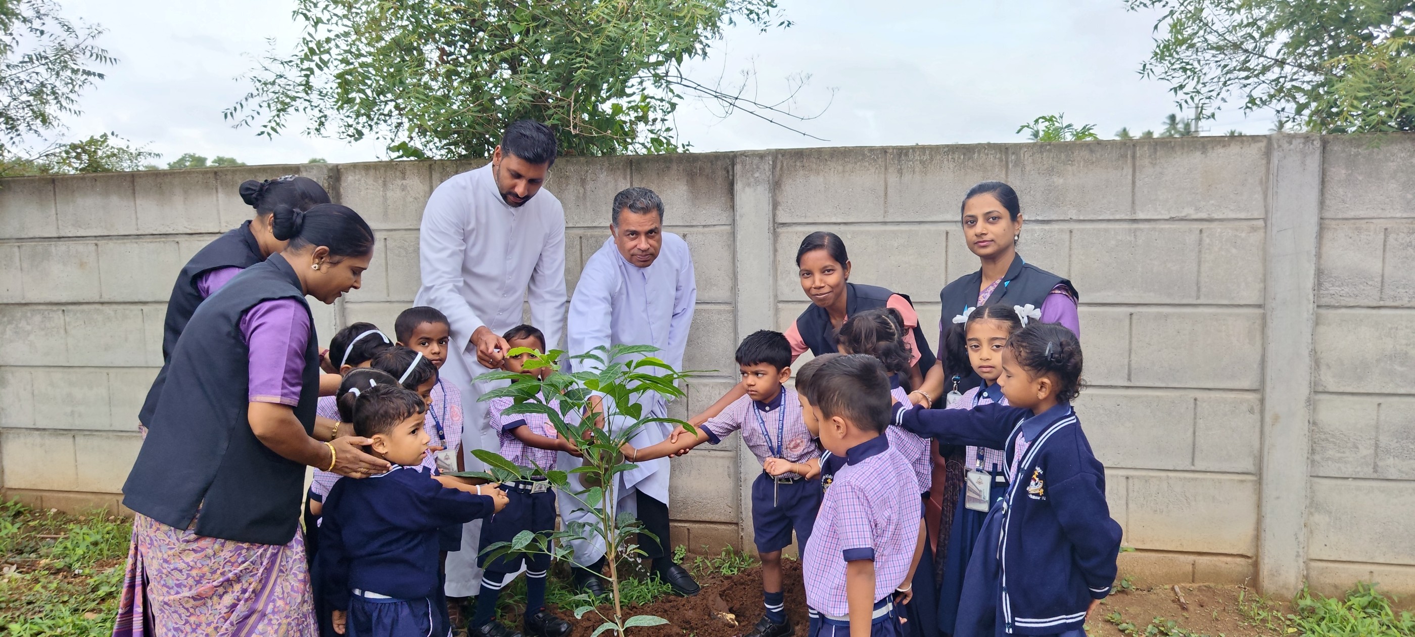 ECO friendly activities